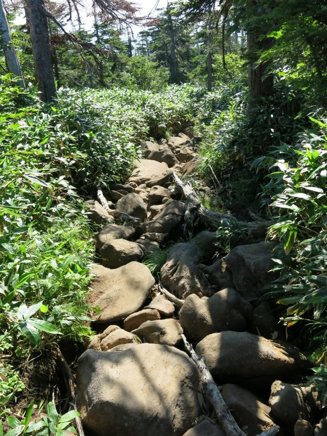 15分ほど休憩したら、あとは一気に下山。<br />下の芝を通過し、岩ゴロゴロやジメジメの道を黙々と下る。