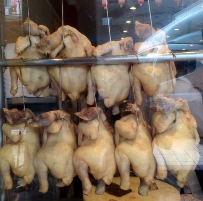 チャイナタウンのチキン屋さんへも<br /><br />ここも地球の歩き方参照
