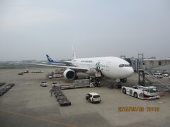 10：15　福岡空港着

　　　　こちらが利用機。満席だったとか。