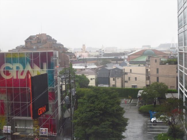 その後、チェックアウトして、送迎サービスを利用して羽田空港へ。外が雨だったのでわざわざ傘をさして駅まで行く必要が無くて楽ちんでした。