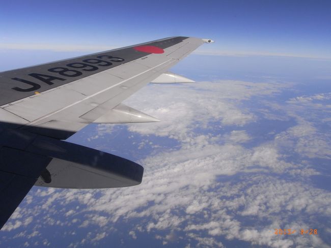 お〜、雲が見えるぞ〜！