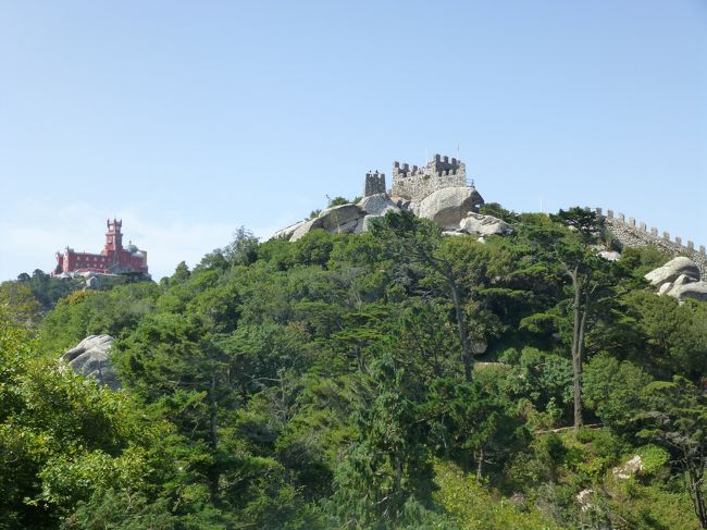 あの頂上まで頑張ります。