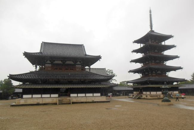 大講堂から見る金堂と五重塔