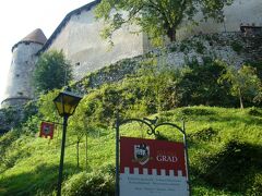 続いてブレッド城です。スロベニア最古のお城です。10時頃に着きました。