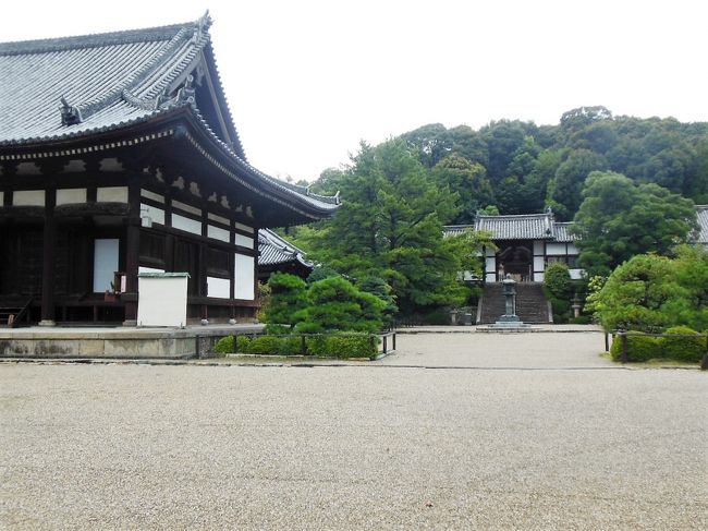 金堂脇から二天門を見る