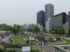 「なにわ橋」から見たバラ園。
バラ園への入口は「なにわ橋」の途中にあります。