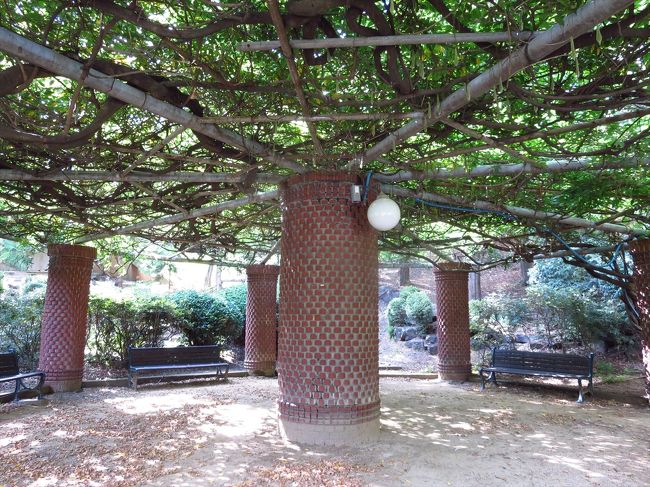 こんな素敵になってる〜♪<br /><br />恋人たちが憩いそうな空間です。