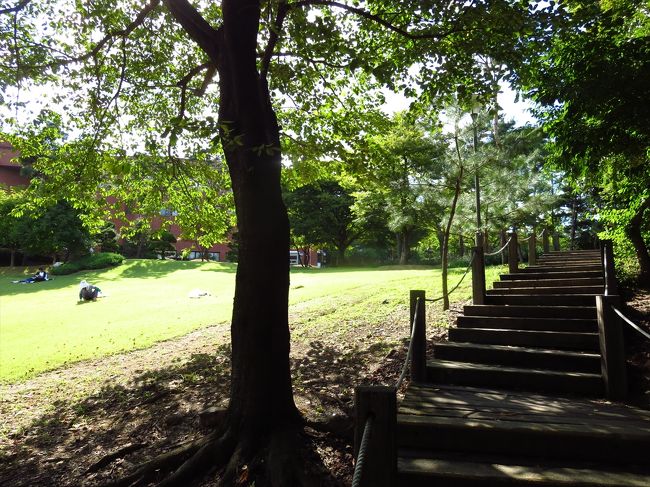 ハイキング気分？<br /><br />私の留学時代はものすごく広い芝生が広がっていたのですが、芝生は半分くらいになっていました。