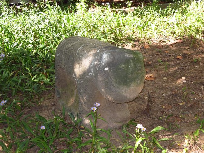 ん？なんでこんなところに？