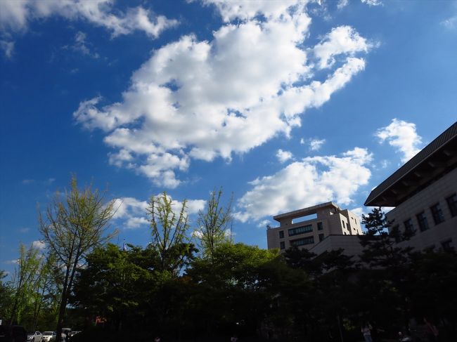 図書館の裏は山になっていて、同じ寮に住んでいた朝鮮族（中国人）のオンニと中国語でおしゃべりしていたなぁ。あの時はオンニに随分癒されました。