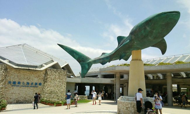 そして、１年ぶりの美ら海水族館へ。<br />前は日曜の夕方に来たけど、昼日でも<br />結構空いてますね。<br /> 