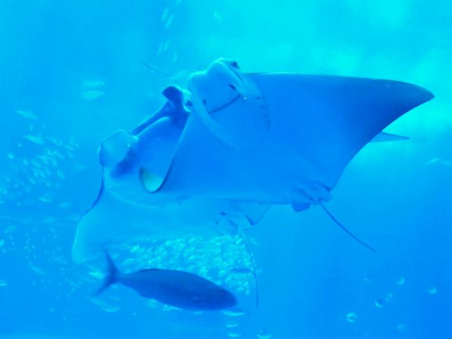 懐かしいというか、<br />つい最近のことのように思います(°▽°)<br />