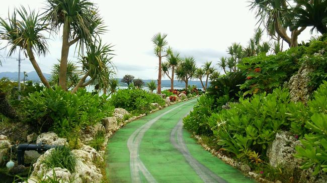 カートに乗って少しずつ上っていきます。<br />