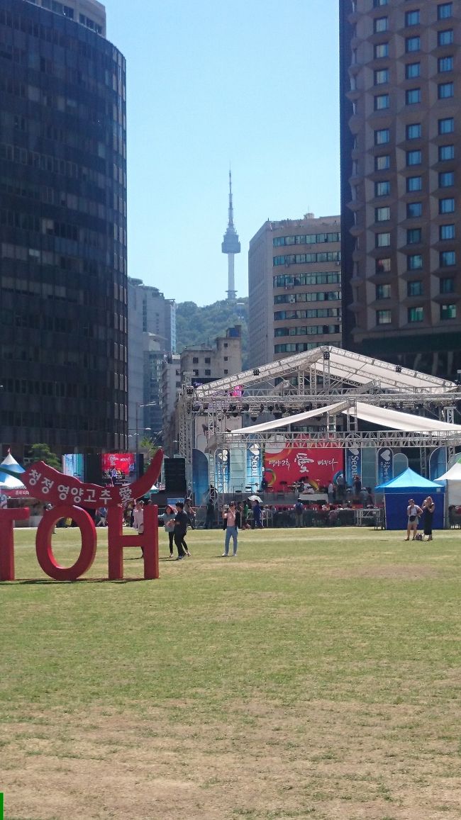 その足で 散歩に 買い物に 市庁前にて 唐辛子フェスティバル やってました 今日も ソウルは快晴！