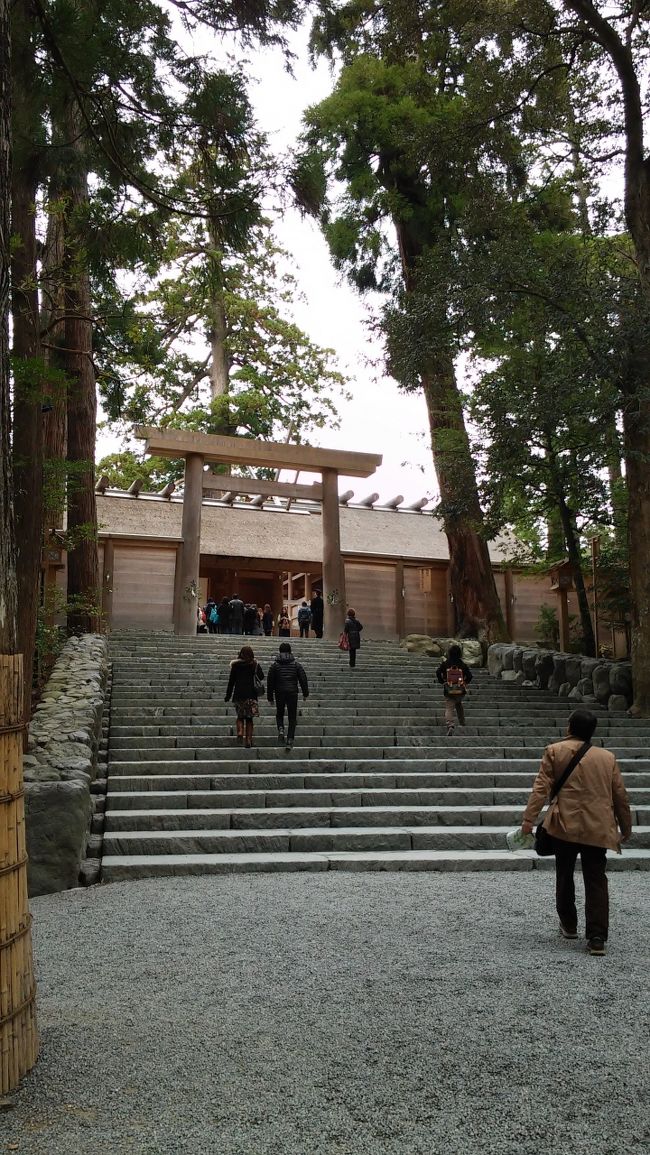 こちらが内宮の正宮。この階段からは撮影禁止です。<br /><br /><br />かなり広い伊勢神宮。<br />時期も時期なので駆け足で見て回りました。<br /><br /><br />