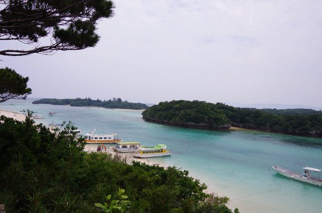 波照間行きの船が15：30でまだ時間があるのでダイビング後は川平湾で降ろしてもらいました。<br />ちょびっと観光です。