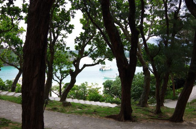 どれどれ、近くで見てみましょう