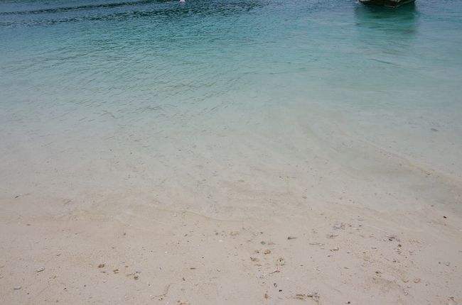 深緑というか・・・<br /><br />吸い込まれそうな綺麗な色をしていました