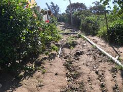 で、私は何故、海に来た筈なのに....写真の様な「山登り」をしているのか...といいますと.......苦笑.....