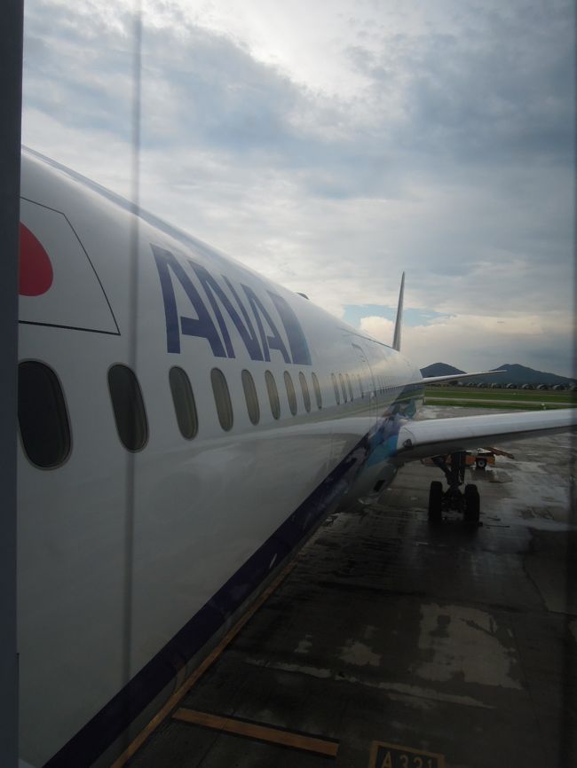 お邪魔しまーす！<br /><br />飛行機に乗る、というより、ビジネスクラスにお邪魔する、そんな気分。わくわく。