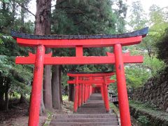 そのまま億へ歩くと「有子山稲荷神社」、朱の鳥居がずっと続いてます～、

直ぐ右手には諸杉神社が在って、山の清水が沸いてました。