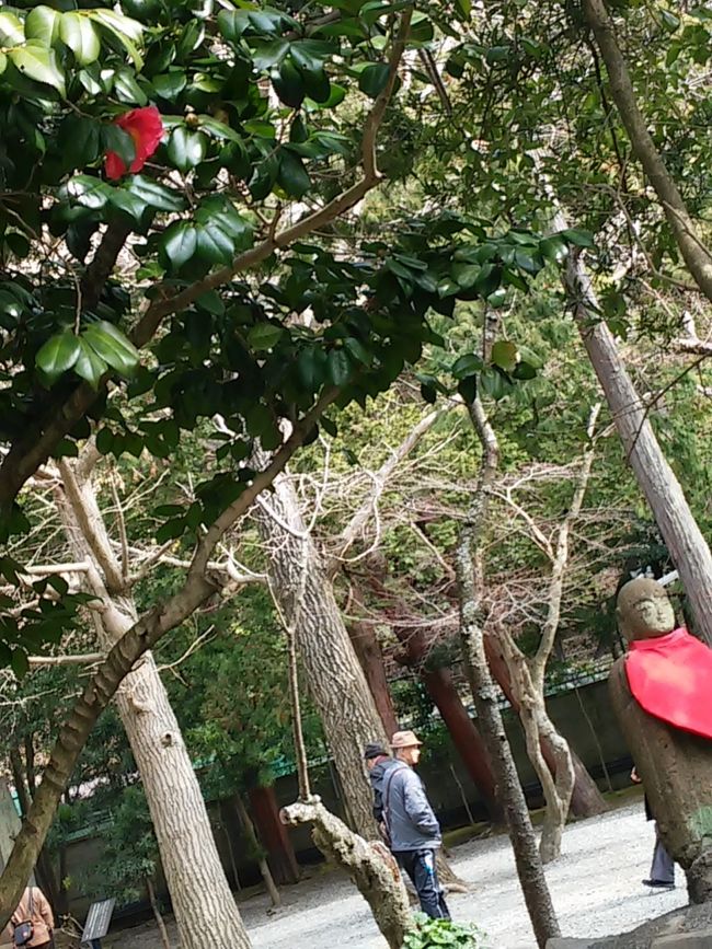 お地蔵さんとよだれ掛け的な？(笑)赤と、椿？の赤を効かせ一枚(笑)