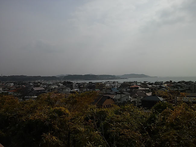 長谷寺からの湘南の景色♪<br /><br />この日はポカポカ陽気でしたよ。<br />おば様達のグループが多く、おひとり様は私くらい〜(笑)