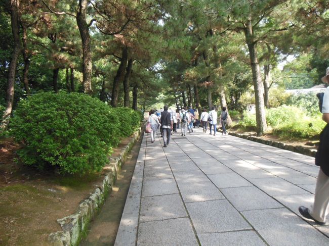 薬師寺に向かって歩く