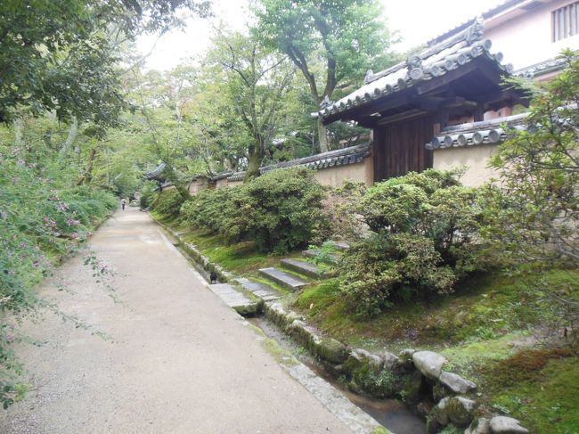 開山堂付近の小道