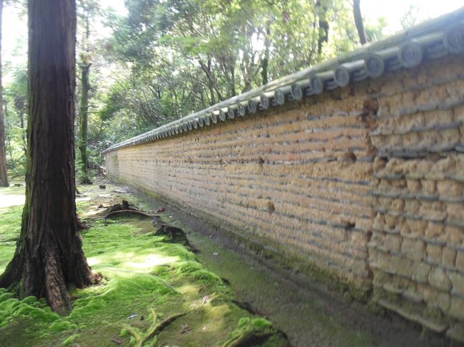 鑑真御廟の苔と土塀