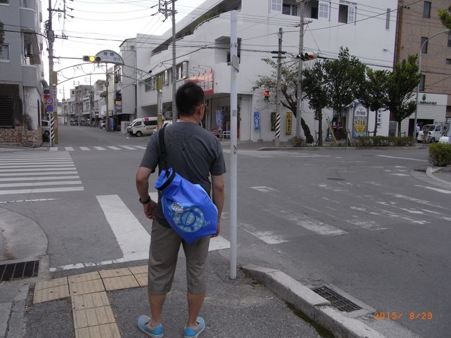 よしくんの後ろ姿。背中のバッグはこの日のために探して買った<br />ビニールタイプのバッグ。<br /><br />亀柄がいいよね〜(^_-)-☆