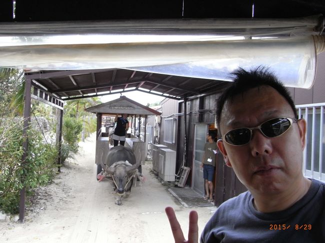 ゆーっくり進むよ！<br /><br />臆病な水牛で、脚立とかあると止まってた(*^-^*)<br /><br />かわいい顔の「まさかい」ちゃんでした！