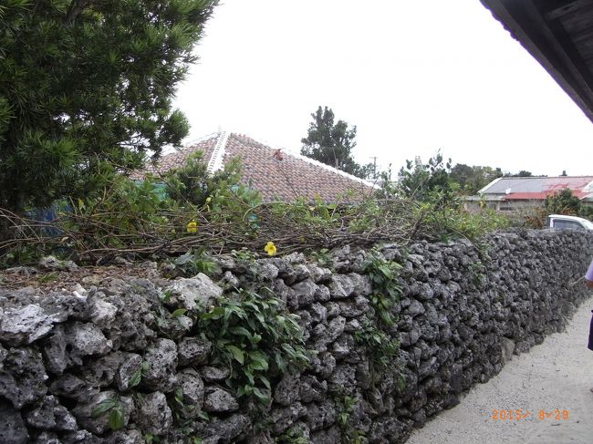台風に備えて石垣は重ねているだけだって。<br /><br />直前の台風でお花はほとんど飛ばされたって。