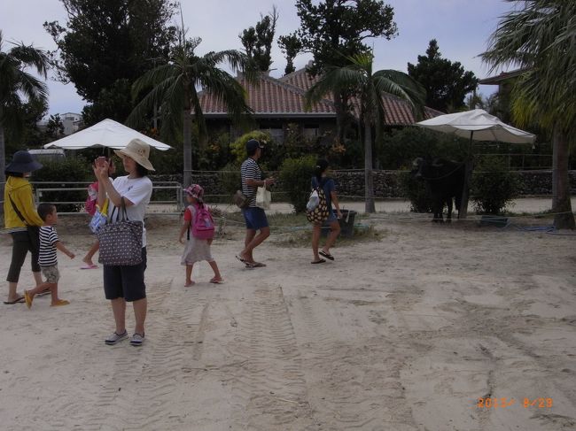 ゆったり。ちぼも撮影中。