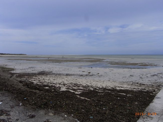 あきらめて、サイクリングへ。<br /><br />晴れてきたよ〜