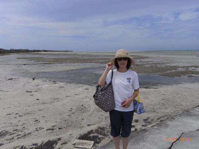 ここは西桟橋だよ。<br /><br />空も海も広くて、きれいな景色だよ！