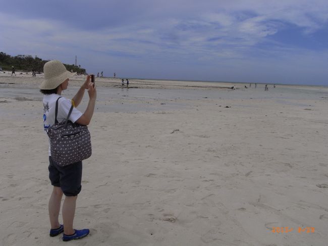 たくさん撮っちゃうよ！<br /><br />白〜い海底がきれいだよ〜