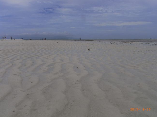 波紋がみえるでしょ！