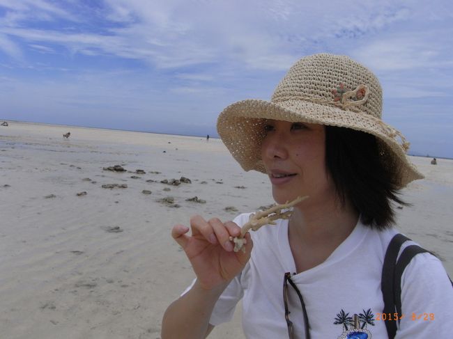 サンゴ見つけた！