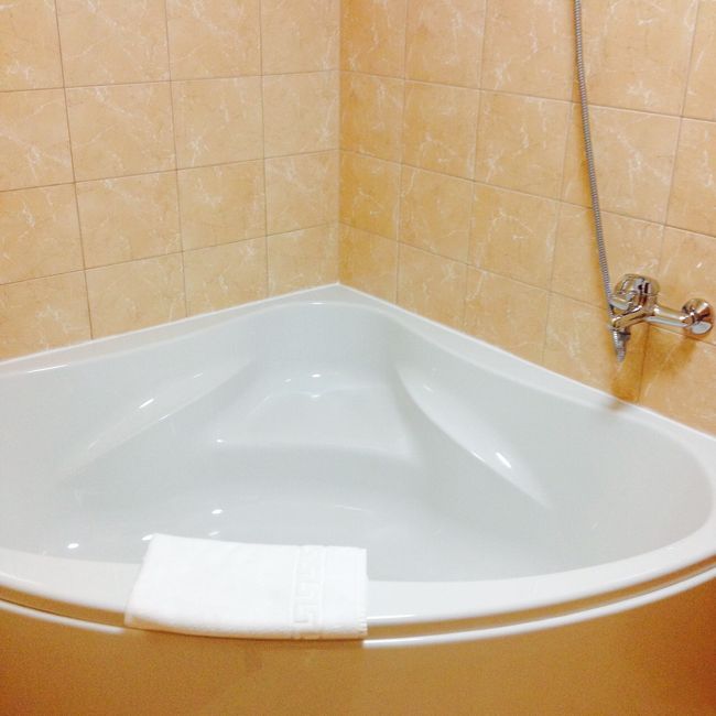 娘の到着の方が早かったのでお風呂にも入る時間もあった様です。<br /><br />ヴィリニュスの空港は小さいのにラゲージが出てくるのに時間がかかりました。<br />なので、ホテルに着いてシャワーして寝る頃は3時ぐらいだったかも。<br />翌朝は6時起き。