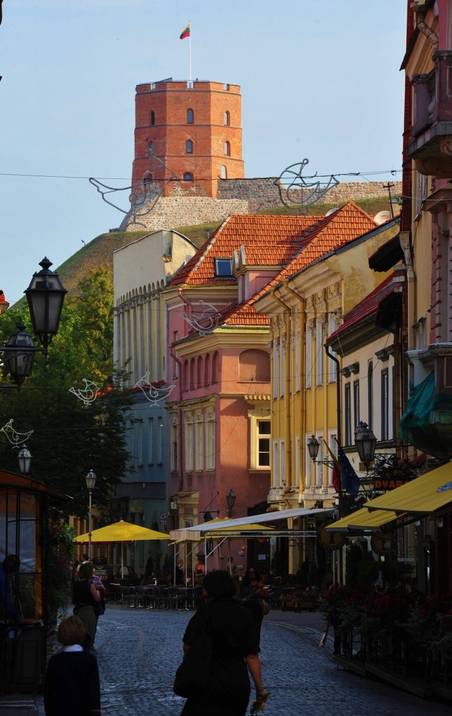 ケミディナス塔です。<br /><br />14世紀にリトアニア大公ゲディミナスが、当時の首都トラカイから狩りに来た夜、鉄の鎧を着た狼が丘の上で遠吠えをしている夢を見て、鉄の鎧のように強固で、狼の遠吠えのように世界に名を轟かせるような街を造ろうと思いました。<br />それが首都ヴィリニュスの起源です。そしてその丘の上に城を築きました。<br />現存する城の一部分であるゲディミナス塔内部は博物館となっています。<br /><br />一方通行の行き止まりからどう抜けるの？と聞いたけど<br />僕じゃなくママが止めたんだ・・・とのこと(^^ゞ<br />仕方ないのであっさり逆行しました。<br /><br />旧市街ピリエス通り