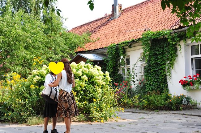路地を入った所にお花が咲いていたので寄り道です。<br /><br />車を止めたピリエス通りまで戻ってきました。<br />ざざっと観光スポットは見たと思うのだけど大聖堂は見てないネ。。。。<br />そういや、一方通行の行き止まりで焦ったけどケミディナス塔の写真でも撮っておこうか・・・・