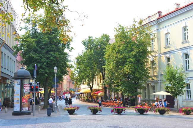 バルト3国の書籍の情報もあまりなくネット検索しました。<br />名所はピックアップしたけど実際の位置や距離感まで把握するのは難しかったです。<br /><br />駐車場も結構あるので、その都度車を止めて観光したらいいね〜とまずはケミディナス塔を目的地に。<br />ナビに案内され着いたのは・・・・<br />一方通行で花壇がブロックしてる道（写真は反対側から）<br />焦る・・・・<br /><br />一方通行だしどうしたらいいの？と思ったらカフェのバンが止まってたので作業をしてた人に聞くことに。