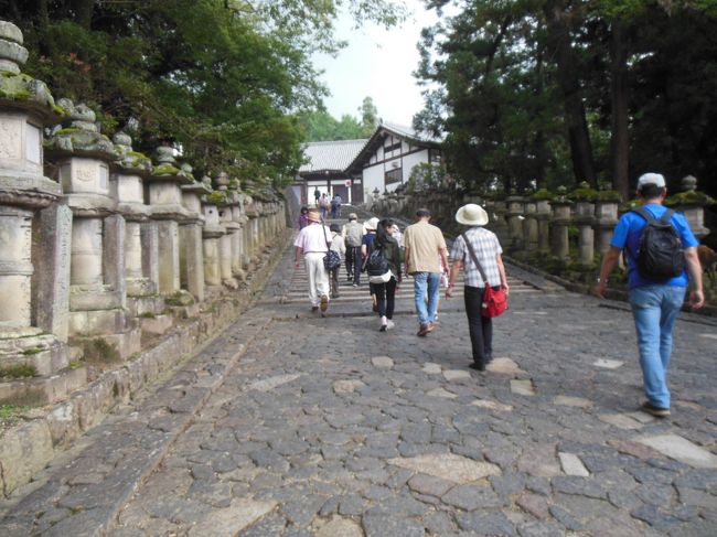 三月堂・二月堂へと石燈籠の並ぶ道を歩く