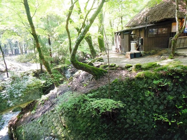 橋の上からの眺め