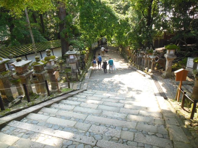 本殿前から見る参道