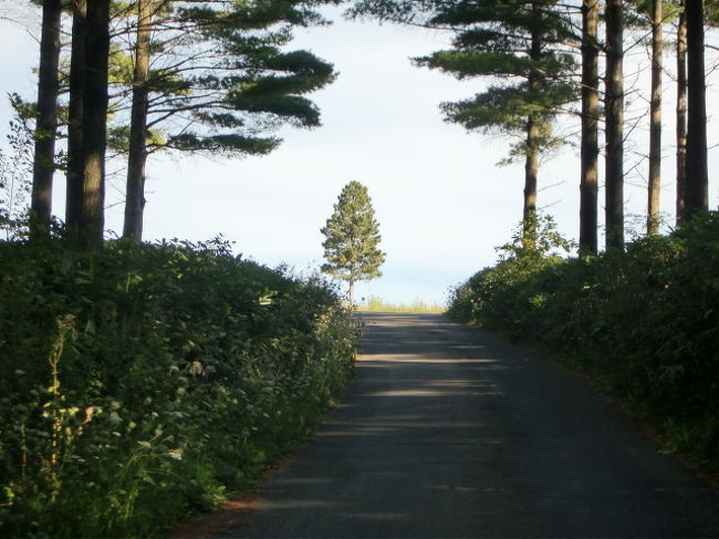 ＊写真は全く関係ないですー。ごめんなさい。<br /><br /><br />チケットは取りあえず押さえたので次はホテル。<br /><br /><br />ダナン３泊、ホイアン２泊の滞在です。<br /><br />ダナンのホテルはシティとリゾートでは金額に差がでますね。<br />ま・・・７年目の新婚旅行（笑）ですから？<br />今回はリゾートステイにする事に。<br />とは言え、一般庶民ですから、有名どころのお高い所は手が出せません。<br /><br />今回は今年オープンしたばかりの【ナマン・リトリート】に決定。<br />４トラさんでも口コミないんじゃないかなー？<br />１番お手頃のバビロンルーム朝食込みで、３泊￥７２１２０です。<br />★３泊以上で９０分の無料スパサービス付き。<br /><br />ホイアンのホテルは旧市街から徒歩５分〜という【エッセンスホイアン】にしました。<br />こちらも新しめのホテルで日本の電化製品が採用されているとか。<br />バルコニー付きのＤＸツインルーム朝食付きで、２泊￥２２２５１です。<br />★ここは朝食が美味しいという口コミが多い。楽しみ。<br /><br /><br />ベトナム（ダナン・ホイアン）旅費・・・合計　約￥２１４０００（２名分）<br /><br />出発まで約１ヵ月。<br />北海道ばかり旅行していた夫婦が（と言っても温泉ばかり）<br />久し振りの海外、しかも個人手配で何とかなるか？な冒険旅です。<br /><br />勿論、Googie翻訳アプリが最強な旅のお伴。<br /><br />