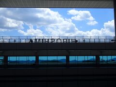 ↓
ANA677便で広島に着いた。羽田は曇り空だったが、広島は晴れている。羽田から広島空港に行くのは4度目。正直、こんなに広島に通う羽目になるとは思ってもみなかった。またしても大久野島。うさぎに会いに行くのだ。