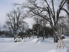 すぐ近くにある常磐公園。除雪されておらず入ることは出来ませんね・・・