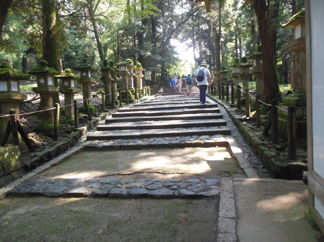 春日大社の参道と灯籠